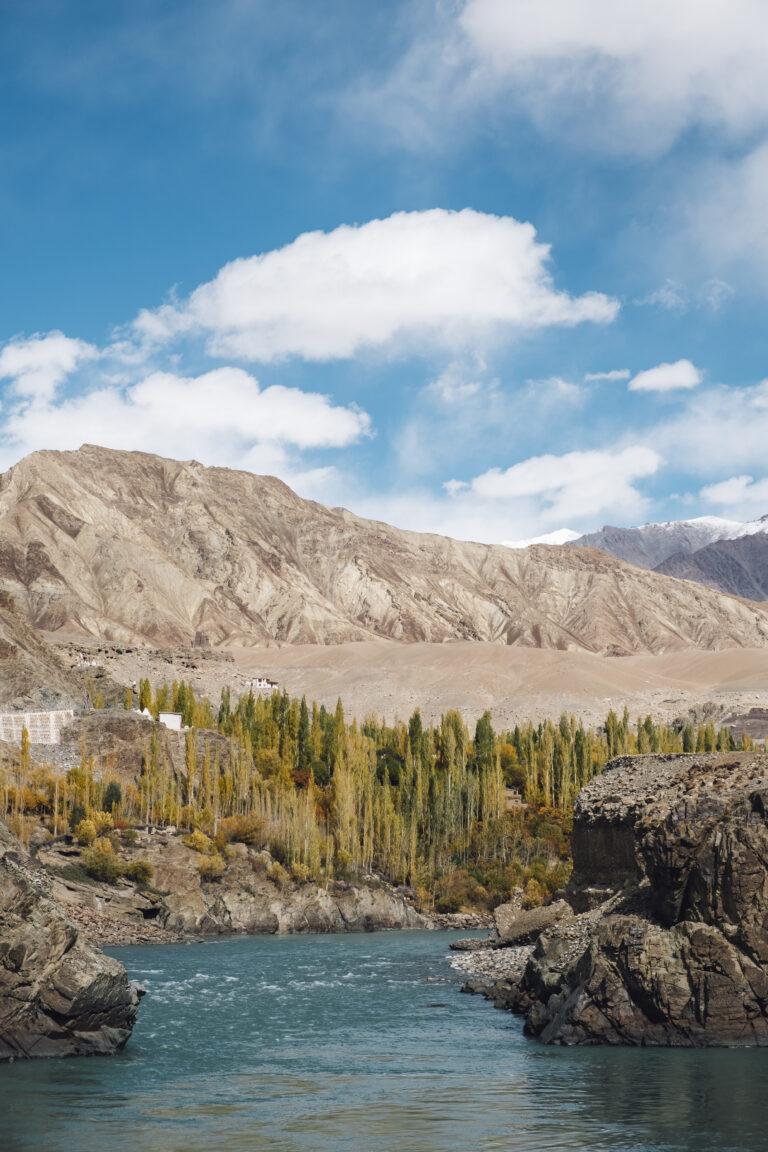 pin-tree-river-blue-sky-with-mountain-autumn-leh-ladakh-india