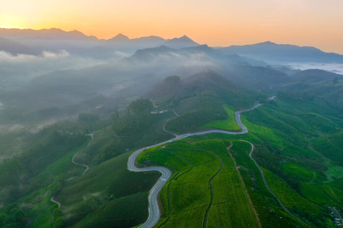 Mesmerizing Kerala (Kochi, Munnar, Alappuzha)